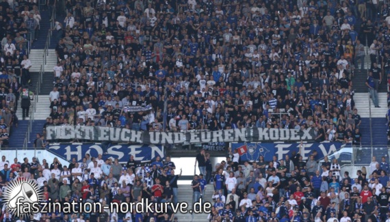 Hamburger SV vs 1. FC Nürnberg (0-1) (1)