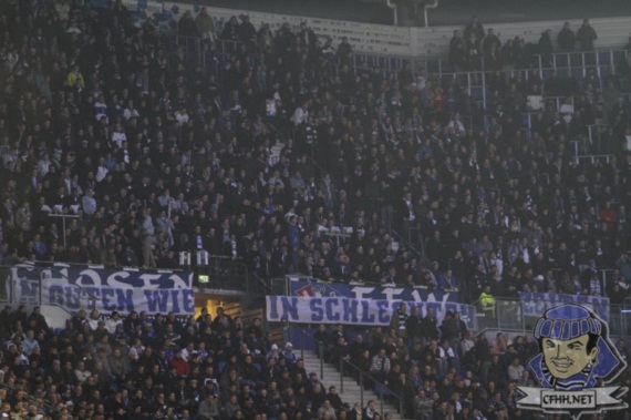 Hamburger SV vs FC Schalke 04 (3-1) (3)