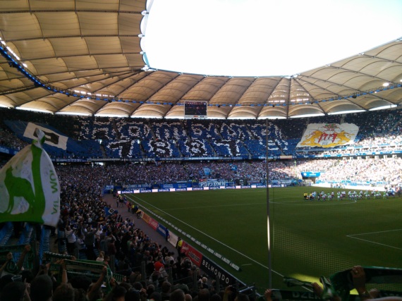 Hamburger SV vs VfL Wolfsburg (1-1) (1)
