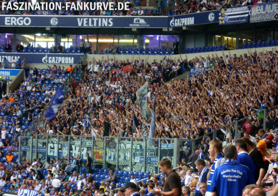 FC Schalke 04 vs Hamburger SV (3-3) (4)