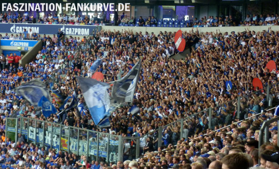FC Schalke 04 vs Hamburger SV (3-3) (8)