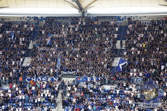 Hamburger SV vs TSG Hoffenheim (1-5) (6)