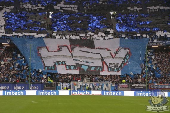 Hamburger SV vs 1. FC Nürnberg (2-1) (15)