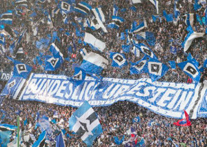 Hamburger SV vs VfL Wolfsburg (1-3)