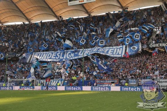 Hamburger SV vs VfL Wolfsburg (1-3) (3)
