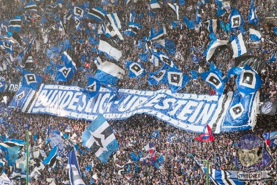 Hamburger SV vs VfL Wolfsburg (1-3) (15)
