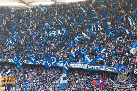 Hamburger SV vs VfL Wolfsburg (1-3) (17)