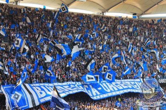 Hamburger SV vs VfL Wolfsburg (1-3) (22)