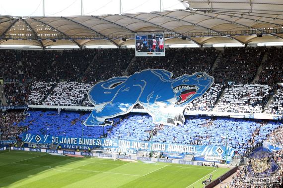 Hamburger SV vs Eintracht Braunschweig (4-0) (3)