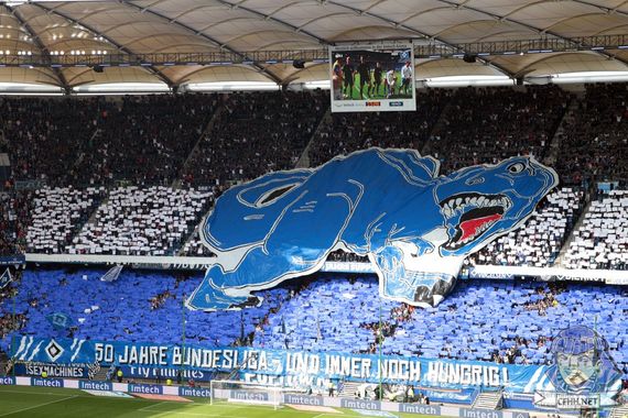 Hamburger SV vs Eintracht Braunschweig (4-0) (4)