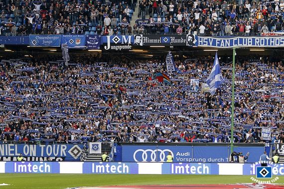 Hamburger SV vs Bayer 04 Leverkusen (1-0) (18)