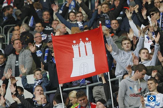 VfL Wolfsburg vs Hamburger SV (2-0) (11)