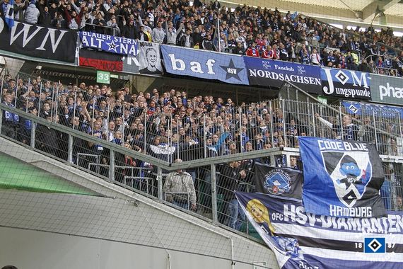 VfL Wolfsburg vs Hamburger SV (2-0) (12)