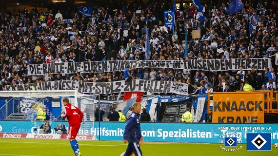 Hamburger SV vs VfL Wolfsburg (0-2) (5)