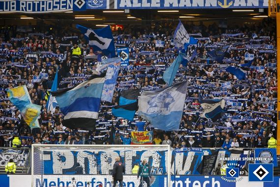 Hamburger SV vs VfL Wolfsburg (0-2) (11)