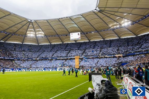 Hamburger SV vs VfL Wolfsburg (0-2) (14)