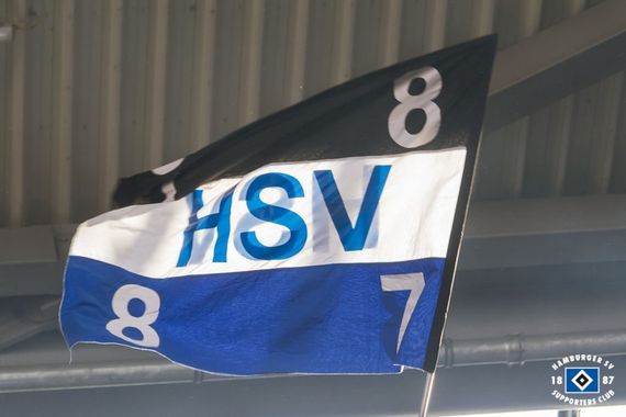 Hannover 96 vs Hamburger SV (2-0) (5)