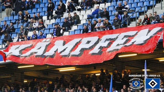 Hamburger SV vs SC Freiburg (1-1) (1)