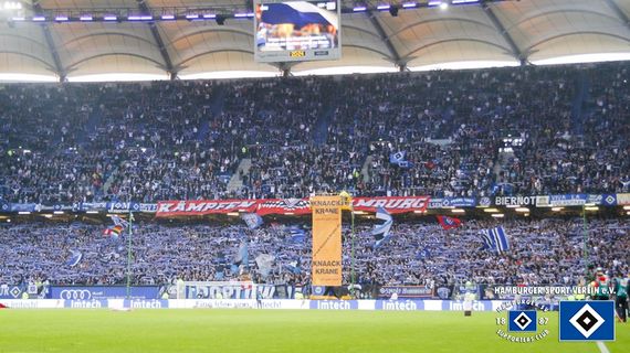 Hamburger SV vs SC Freiburg (1-1) (7)