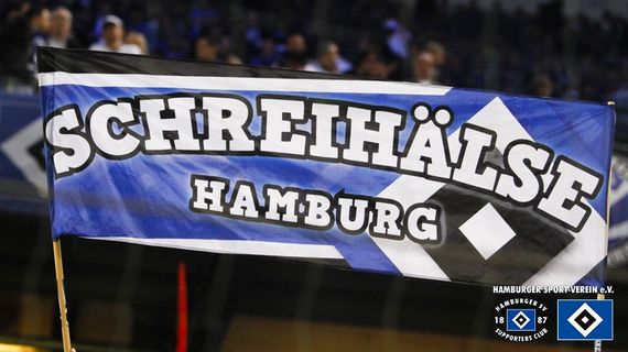 Hamburger SV vs SC Freiburg (1-1) (14)
