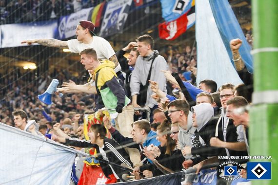 Hamburger SV vs SC Freiburg (1-1) (16)