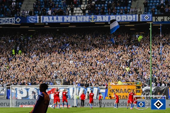 Hamburger SV vs FC Schalke 04 (2-0) (6)