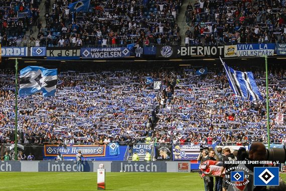 Hamburger SV vs FC Schalke 04 (2-0) (14)