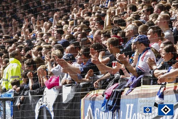 Hamburger SV vs FC Schalke 04 (2-0) (16)