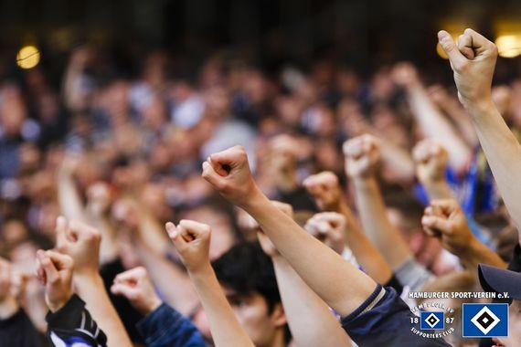 Hamburger SV vs FC Schalke 04 (2-0) (22)