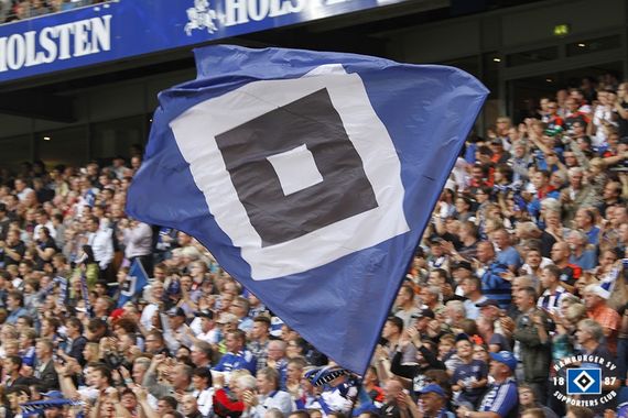 Hamburger SV vs TSG Hoffenheim (1-1) (3)