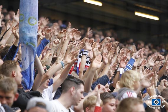 Hamburger SV vs TSG Hoffenheim (1-1) (6)