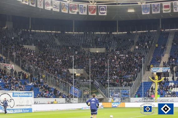 TSG Hoffenheim vs Hamburger SV (0-1) (1)