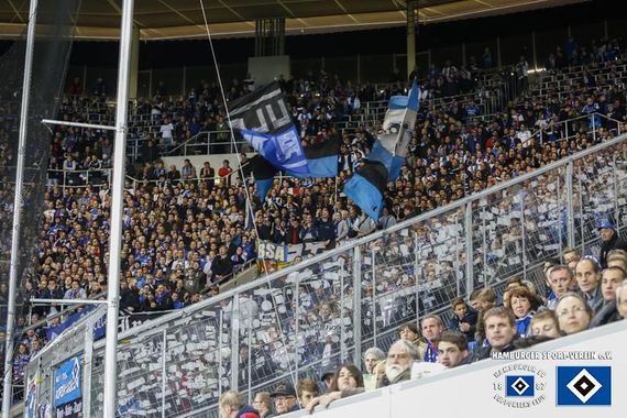 TSG Hoffenheim vs Hamburger SV (0-1) (8)