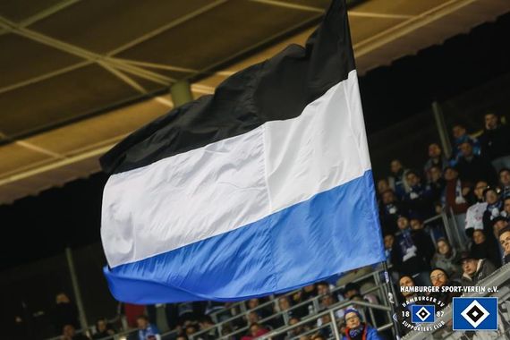 TSG Hoffenheim vs Hamburger SV (0-1) (14)