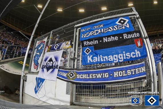 TSG Hoffenheim vs Hamburger SV (0-1) (16)