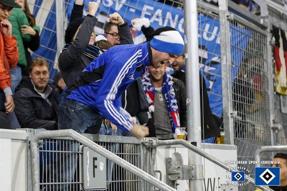 TSG Hoffenheim vs Hamburger SV (0-1) (17)