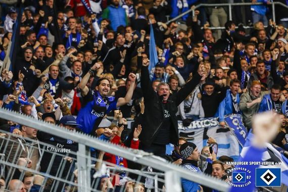 TSG Hoffenheim vs Hamburger SV (0-1) (18)