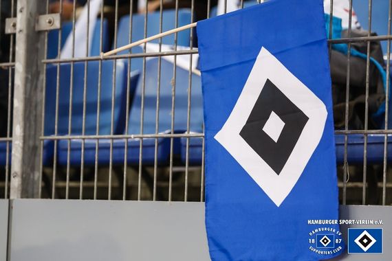 Hamburger SV vs Hannover 96 (1-2) (2)