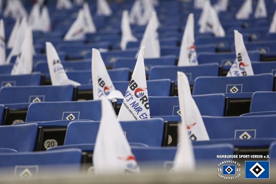 Hamburger SV vs Hannover 96 (1-2) (3)