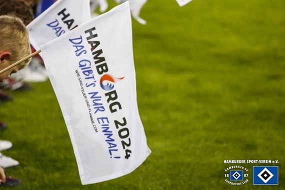 Hamburger SV vs Hannover 96 (1-2) (4)