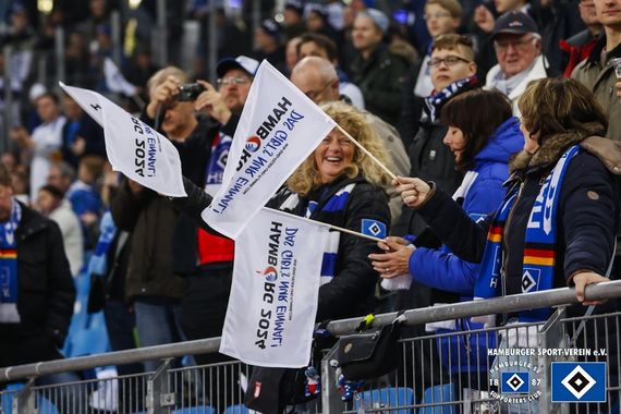 Hamburger SV vs Hannover 96 (1-2) (6)