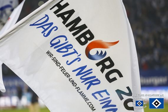 Hamburger SV vs Hannover 96 (1-2) (8)