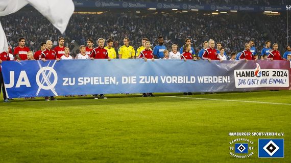 Hamburger SV vs Hannover 96 (1-2) (12)