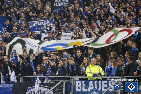 Hamburger SV vs Hannover 96 (1-2) (19)
