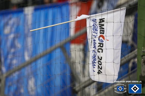 Hamburger SV vs Hannover 96 (1-2) (22)