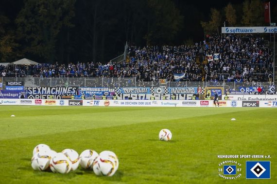 SV Darmstadt 98 vs Hamburger SV (1-1) (12)