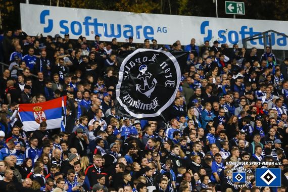 SV Darmstadt 98 vs Hamburger SV (1-1) (15)