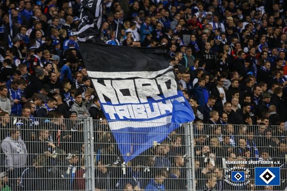 SV Darmstadt 98 vs Hamburger SV (1-1) (16)