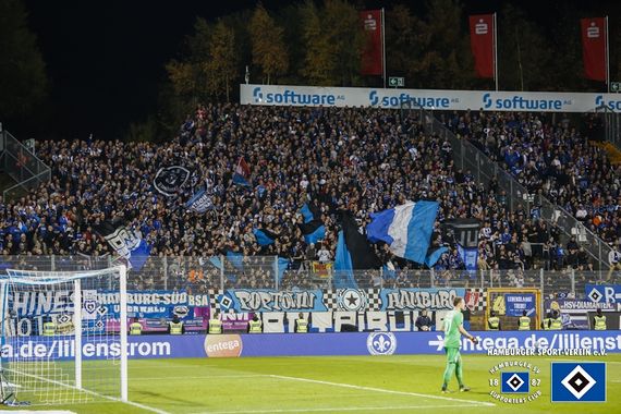 SV Darmstadt 98 vs Hamburger SV (1-1) (19)