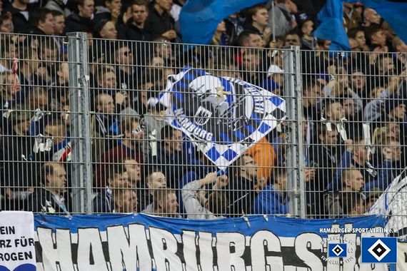 SV Darmstadt 98 vs Hamburger SV (1-1) (21)